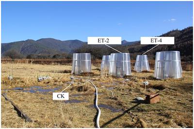 Response of the functional traits of Schoenoplectus tabernaemontani to simulated warming in the Napahai wetland of northwestern Yunnan, China